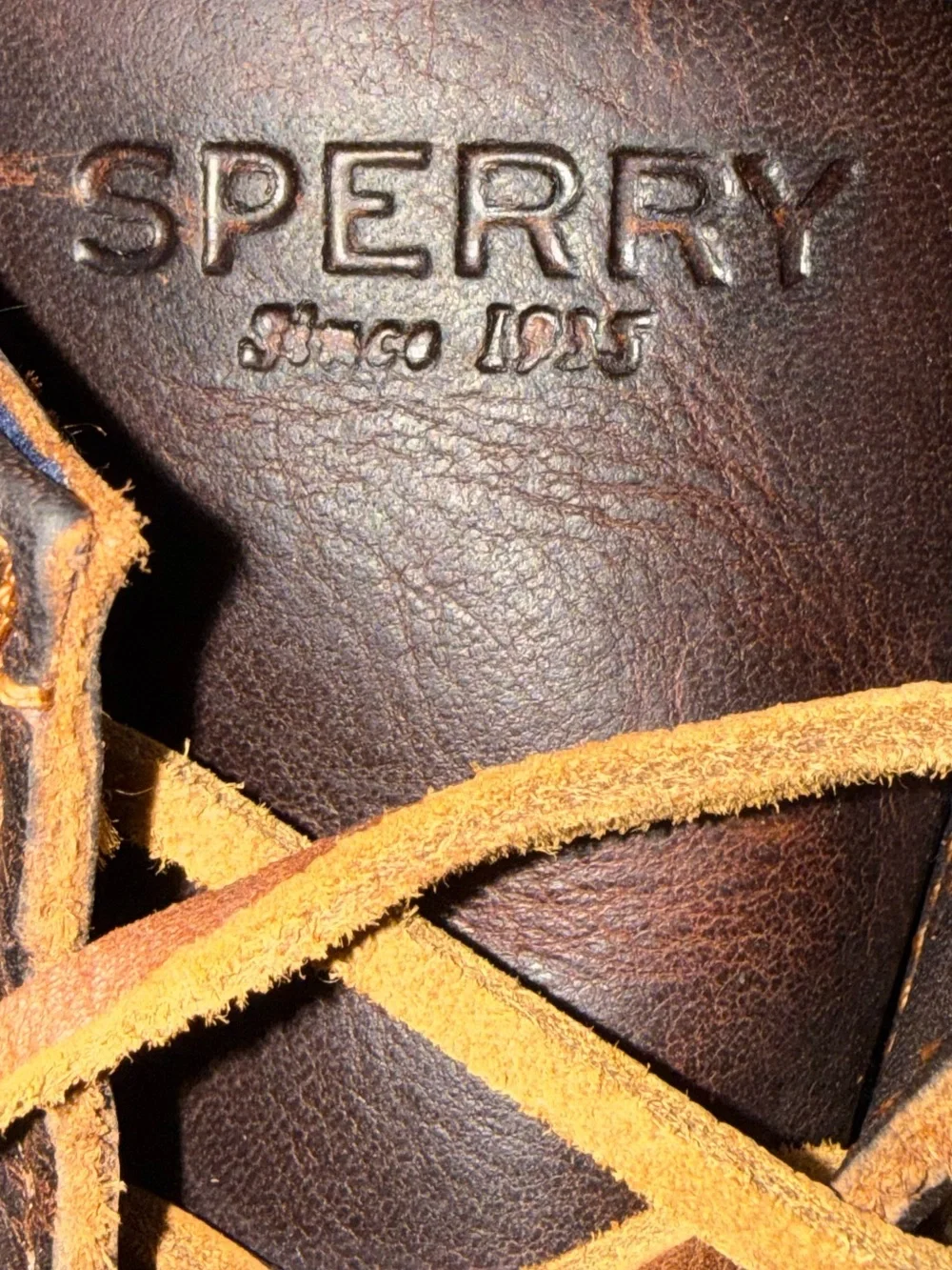 Sperry 🥾🌊 saltwater